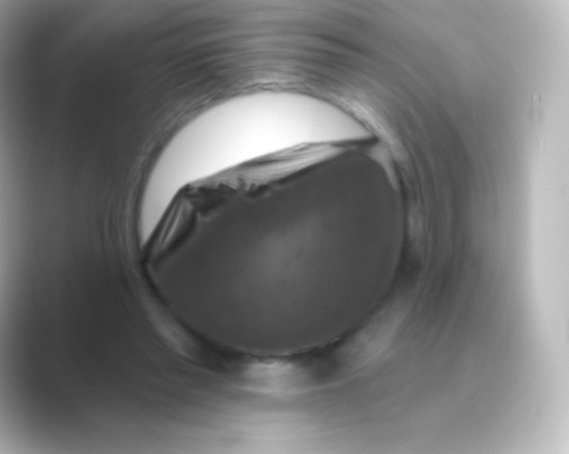 X0000088690397200706211930