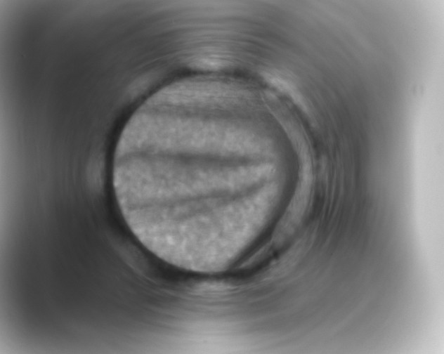 X0000088690400200706211930