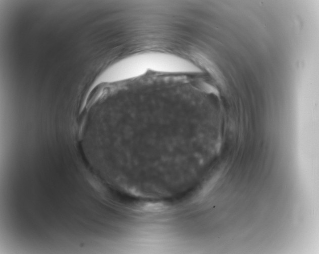 X0000088690401200706211930