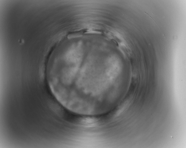 X0000088690402200706211930