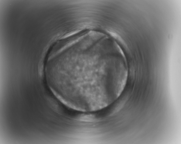 X0000088690403200706211930