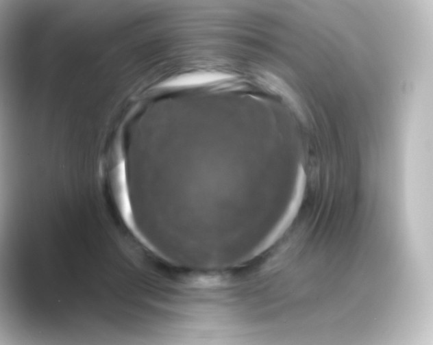 X0000088690405200706211930