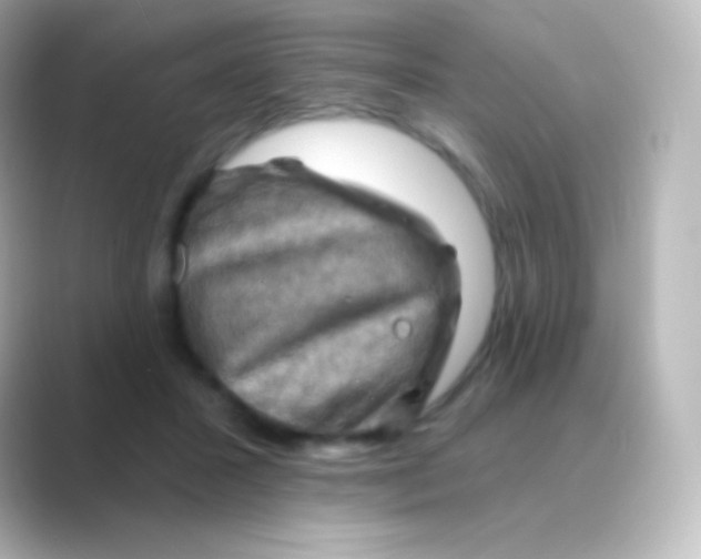 X0000088690407200706211930