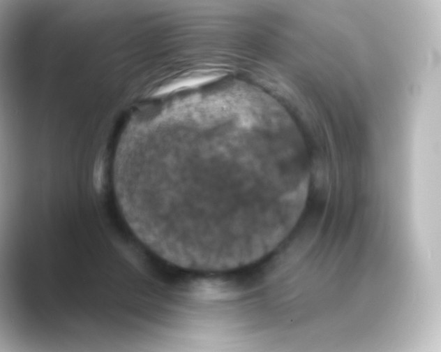 X0000088690408200706211930