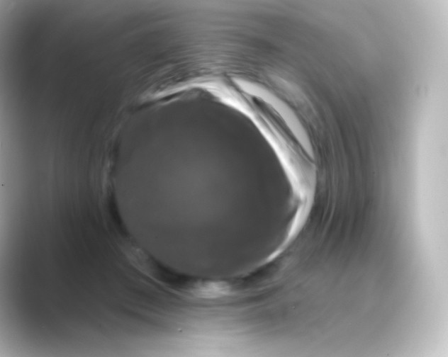 X0000088690409200706211930