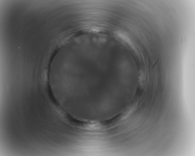 X0000088690410200706211930