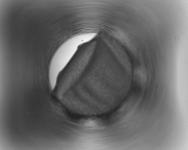X0000088690412200706211930