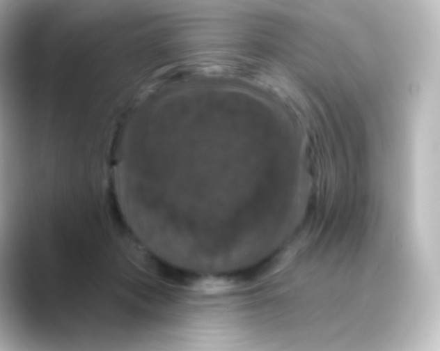 X0000088690413200706211930