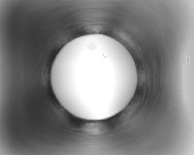 X0000088690414200706211930