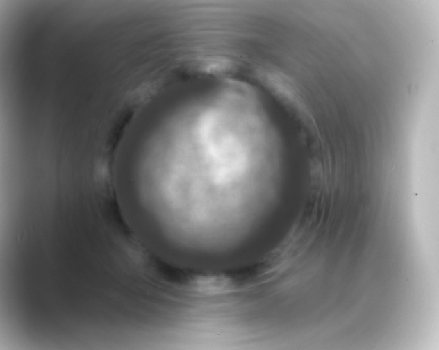 X0000088690415200706211930