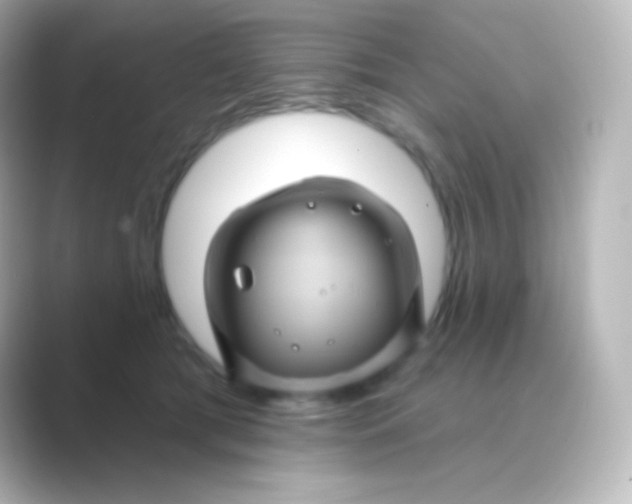 X0000088690417200706211930