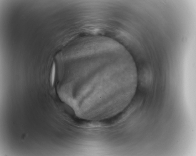 X0000088690420200706211930