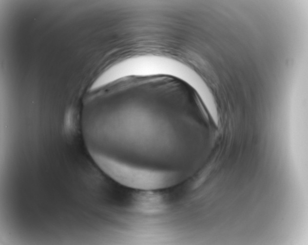 X0000088690421200706211930