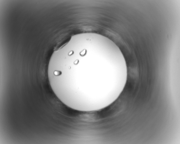 X0000088690422200706211930