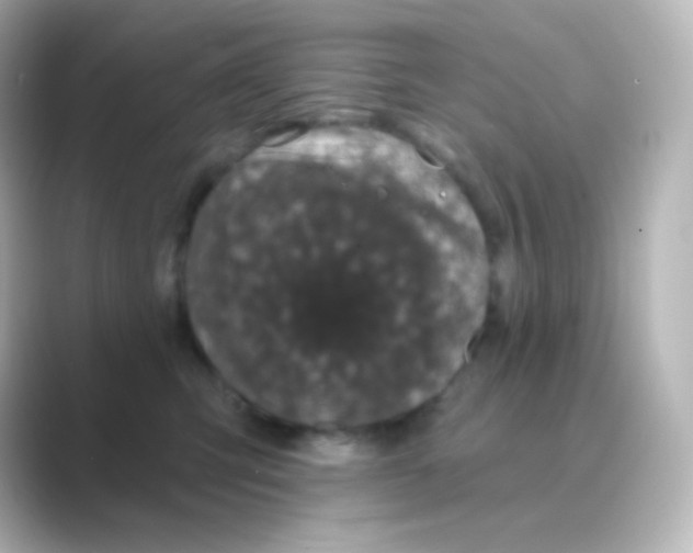 X0000088690423200706211930