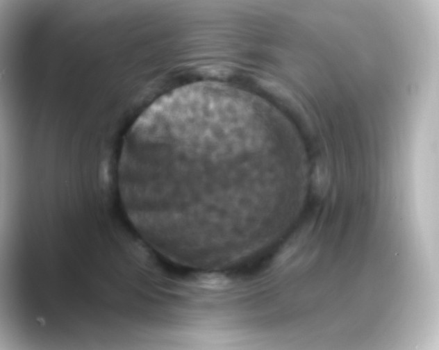 X0000088690424200706211930