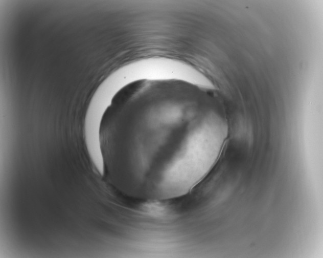 X0000088690425200706211930