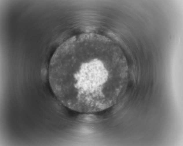 X0000088690427200706211930