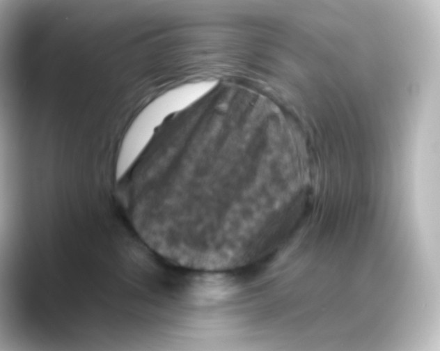 X0000088690428200706211930