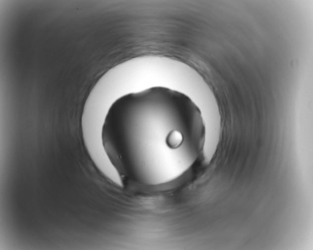 X0000088690429200706211930