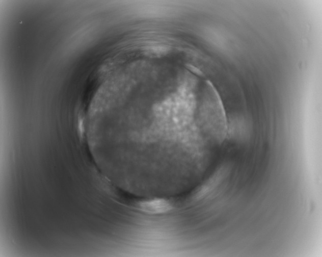 X0000088690431200706211930