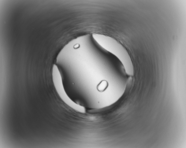 X0000088690432200706211930