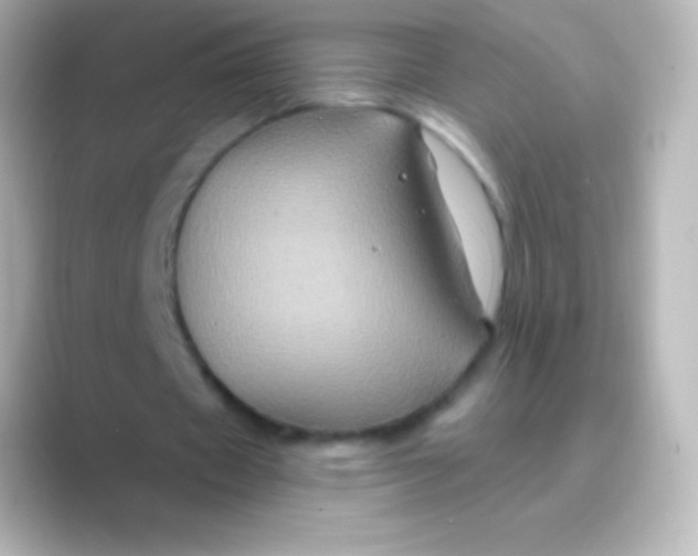 X0000088690433200706211929