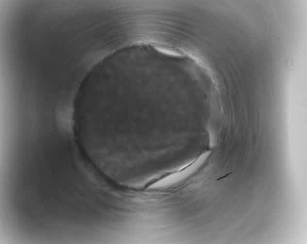 X0000088690434200706211929