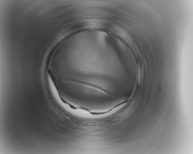 X0000088690435200706211929