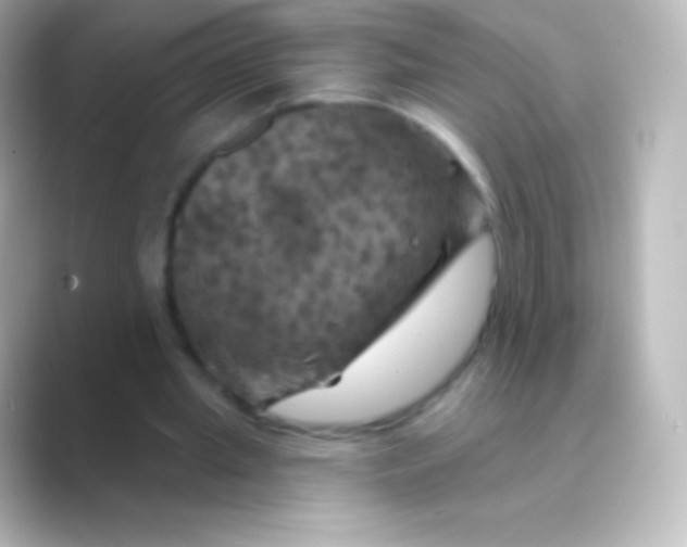 X0000088690437200706211929