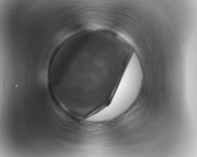 X0000088690438200706211929