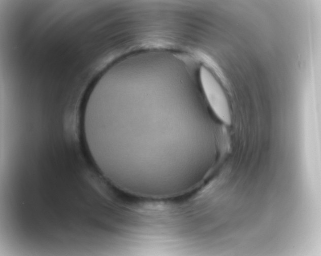 X0000088690439200706211929