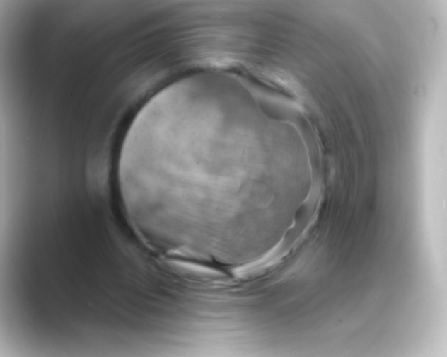 X0000088690440200706211929
