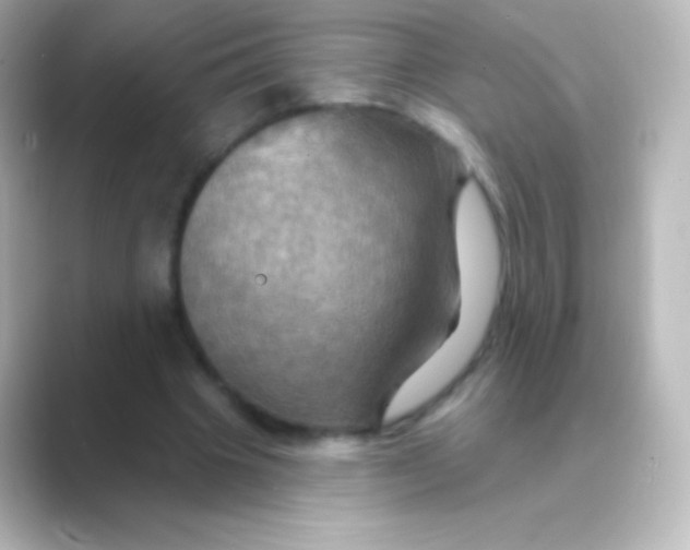 X0000088690441200706211929