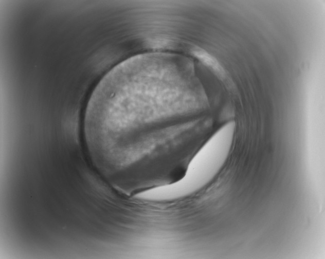 X0000088690442200706211929