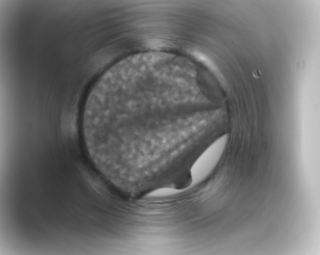 X0000088690443200706211929