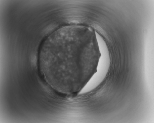 X0000088690444200706211929