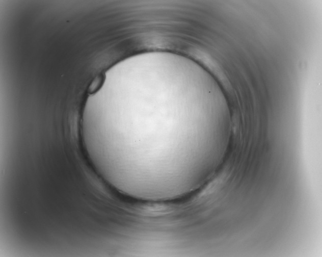 X0000088690445200706211929