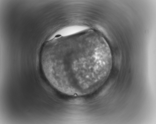 X0000088690447200706211929