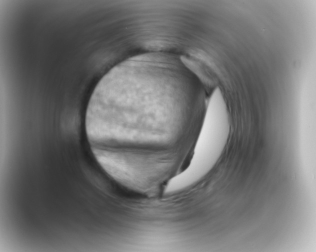 X0000088690448200706211930