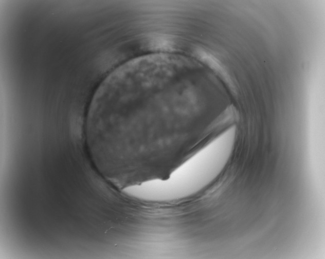 X0000088690449200706211930