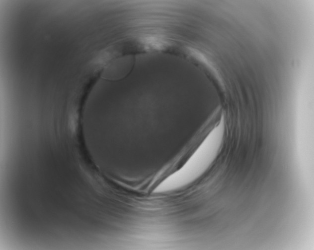 X0000088690451200706211930