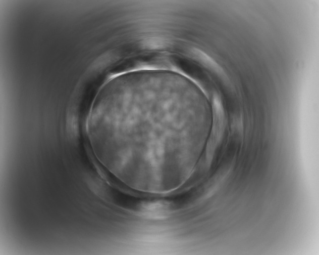 X0000088690452200706211930