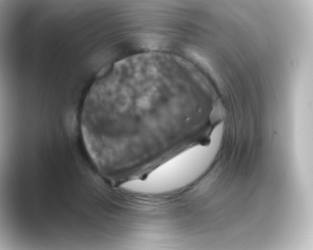 X0000088690453200706211930