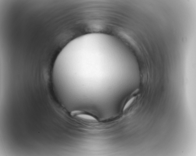 X0000088690455200706211930
