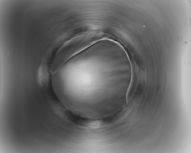 X0000088690456200706211930