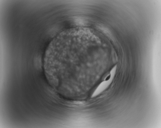 X0000088690457200706211930