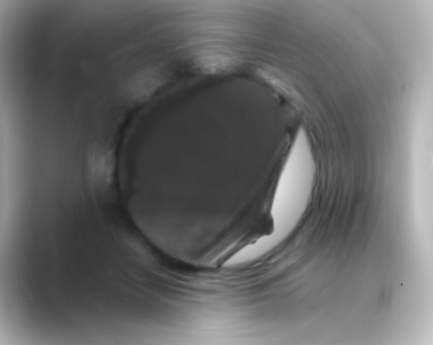 X0000088690458200706211930
