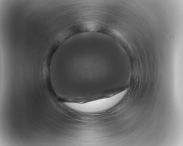 X0000088690459200706211930