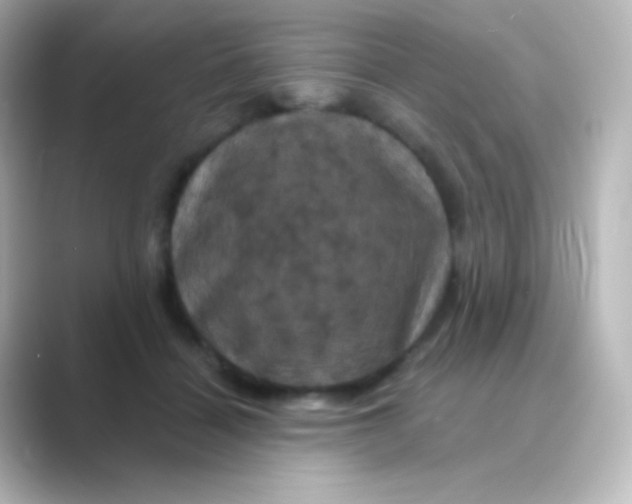 X0000088690460200706211930